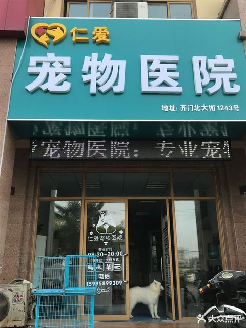                    仁爱宠物医院