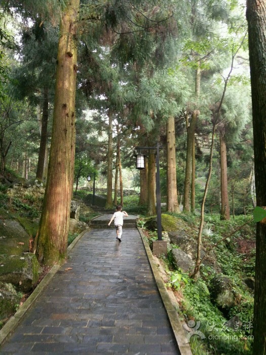 栗木桥景区