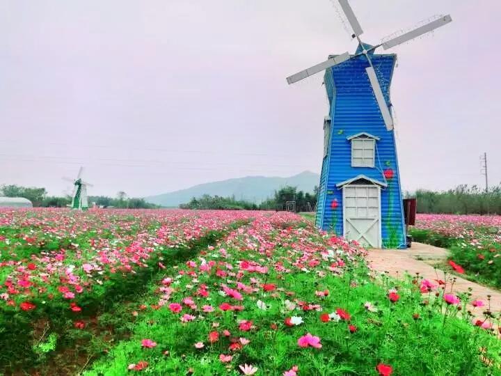   查比花海呦呦鹿鸣高端葡萄庄园