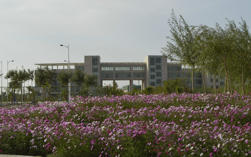 宁夏理工学院升格大学图片