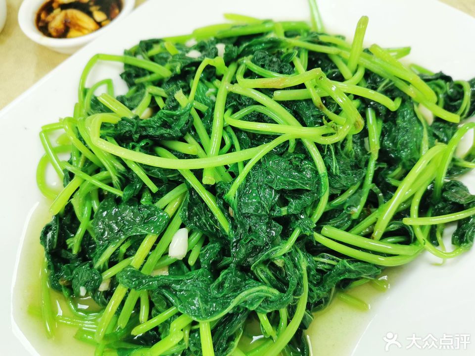 蒜蓉番薯叶图片