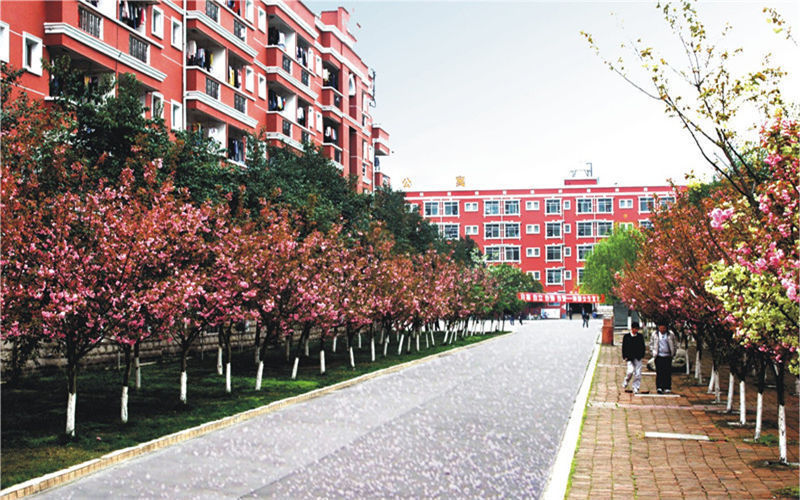 德阳市 科教文化服务 高等教育/大学 > 四川工业科技学院(罗江校区)