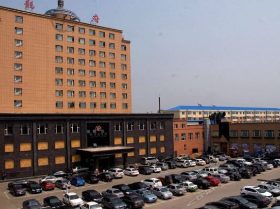 龙府大酒店图片
