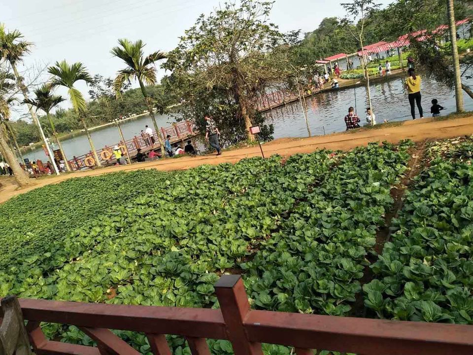 火山泉休闲农庄