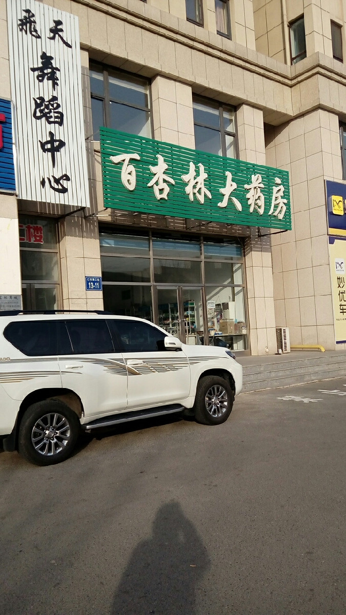 百杏林大药房辽河西三路店