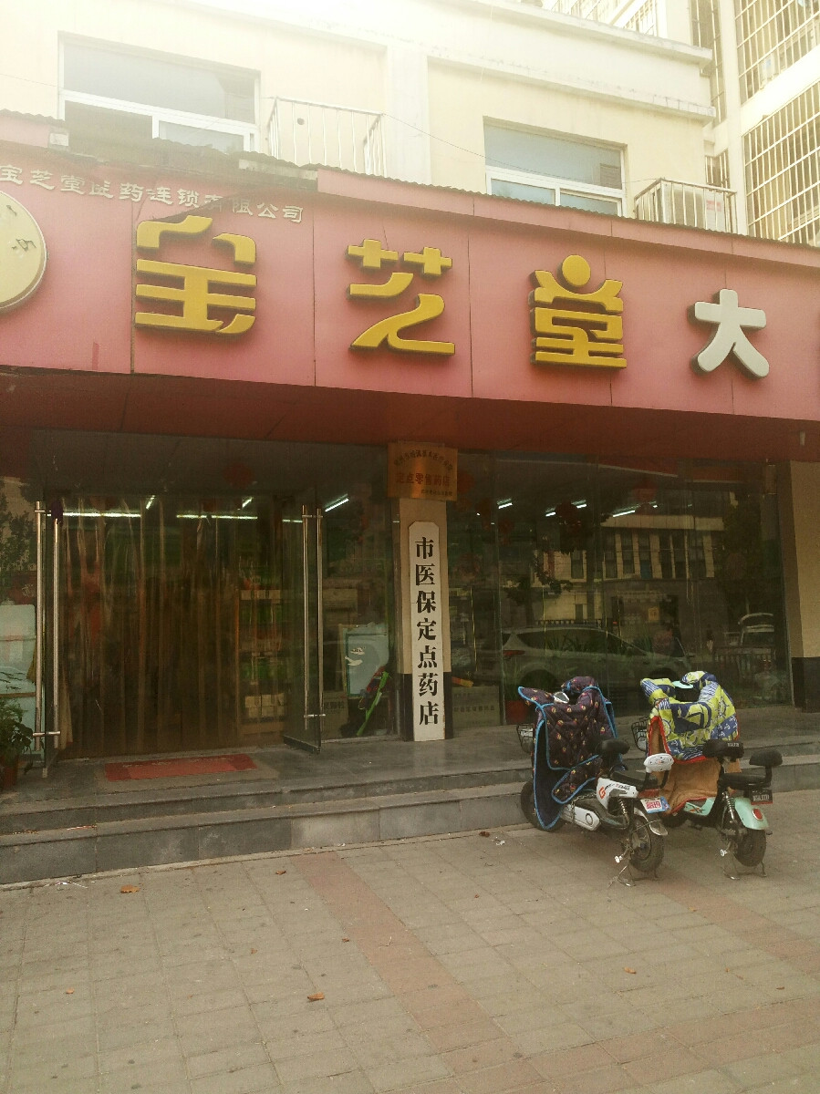        宝芝堂大药房(十里铺街店)
