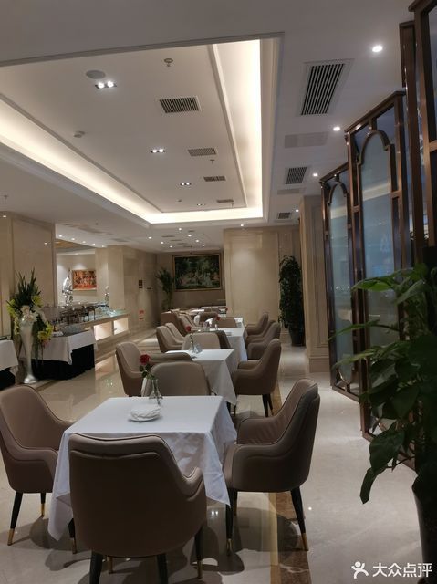 天津赛象酒店柴琳琳图片