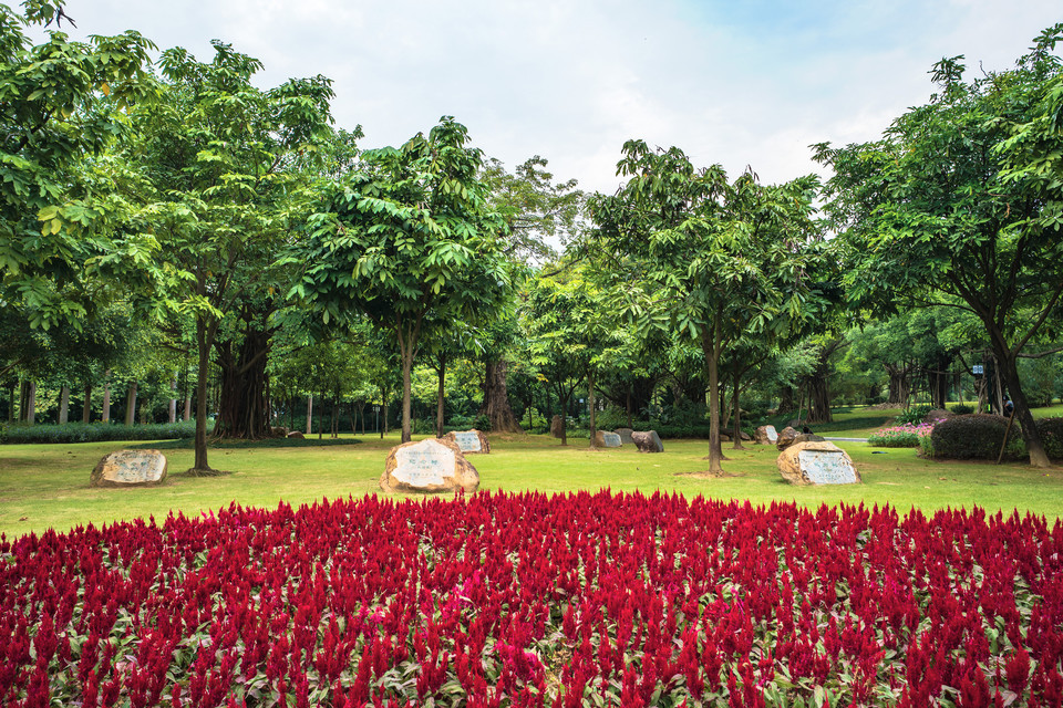 名树博览园图片