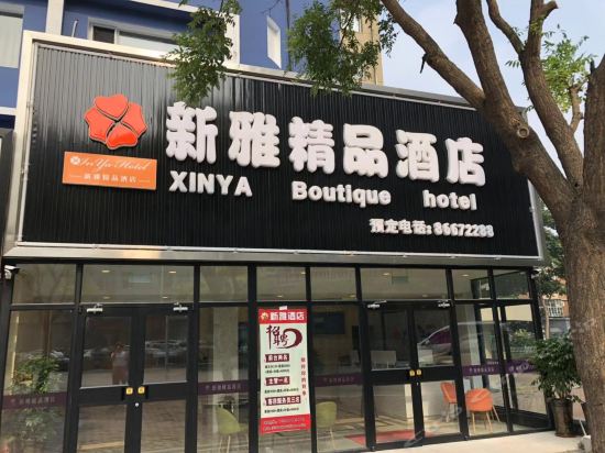 新雅精品酒店(大连西山街店)图片