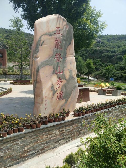           东山五龙生态森林公园