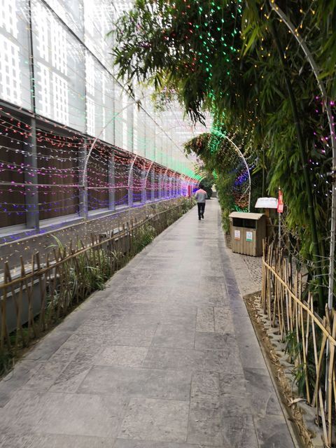 电谷城市低碳公园