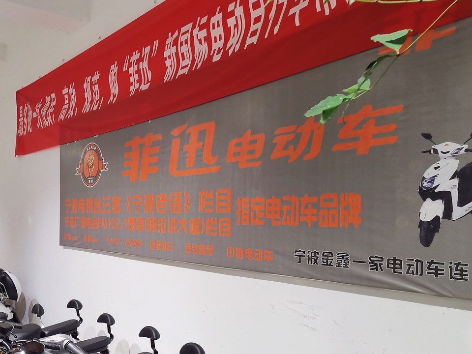 菲迅电动车图片