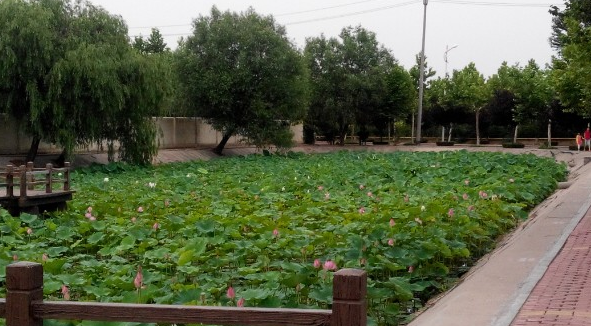 仙河镇滨海医院