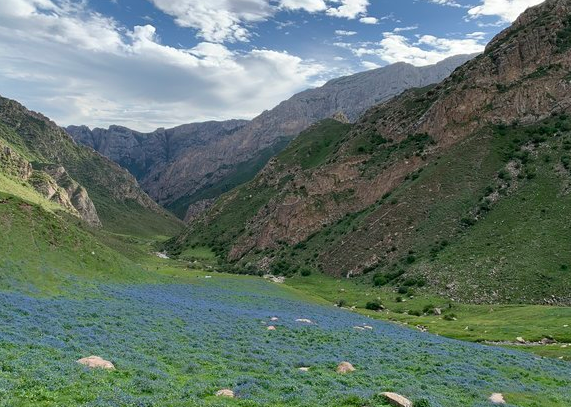 【夏河县甘加镇】地址,电话,路线,周边设施_360地图