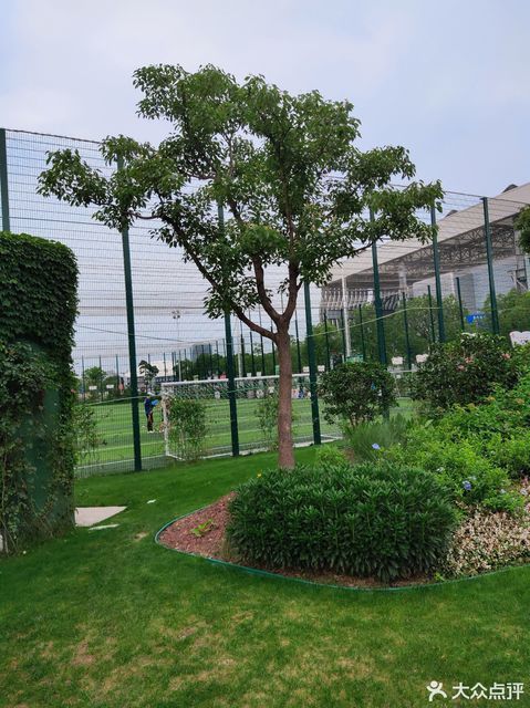 黄浦区台地花园-市民球场
