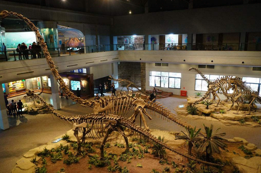 株洲恐龙博物馆图片