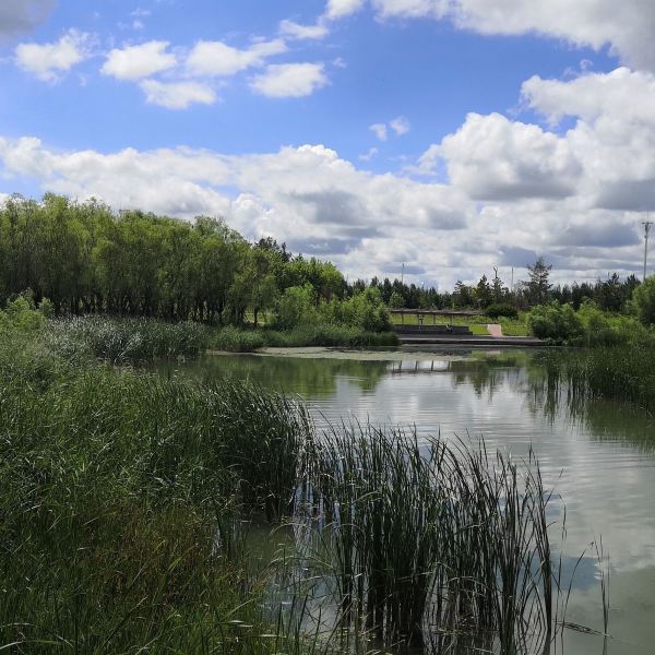 白城市 休閒娛樂 景點公園 > 鶴鳴湖公園