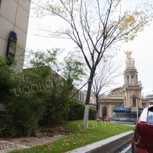 万达江宁府图片