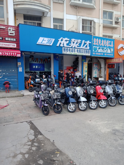 上海依莱达电动车图片