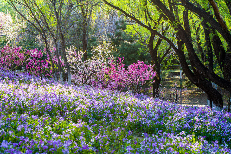 太原市森林公园