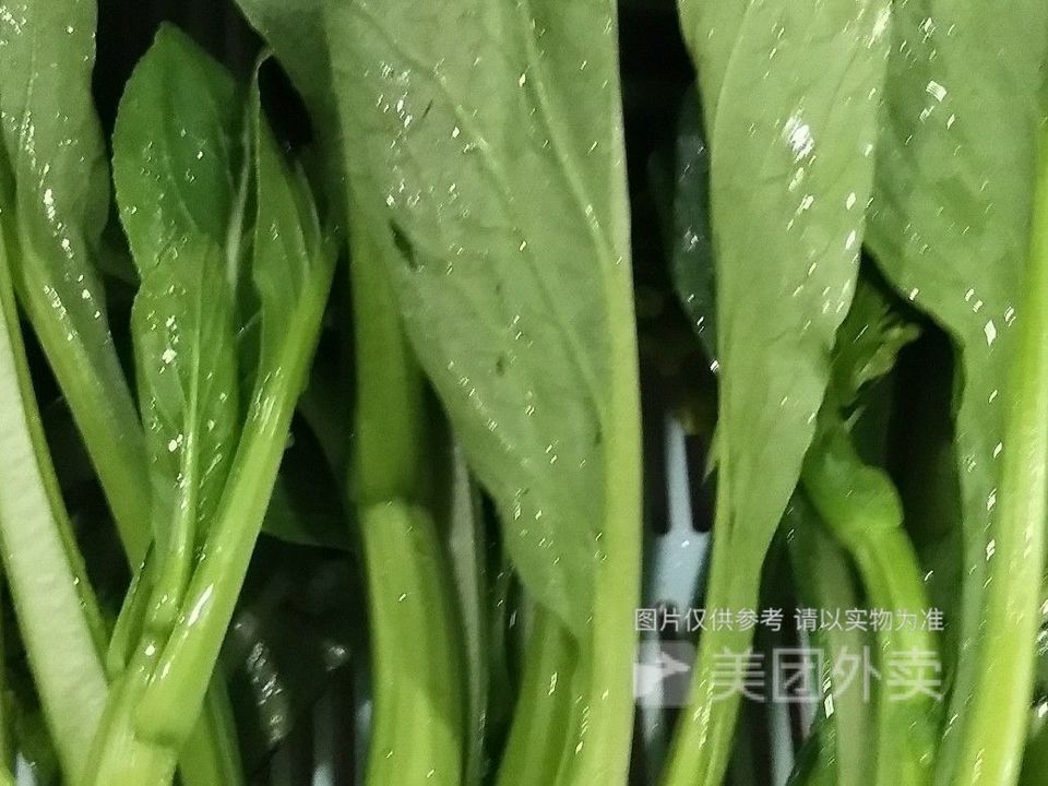 油菜头图片