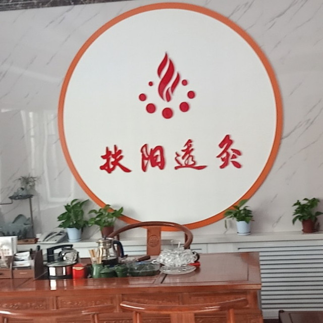 扶阳透灸logo图片