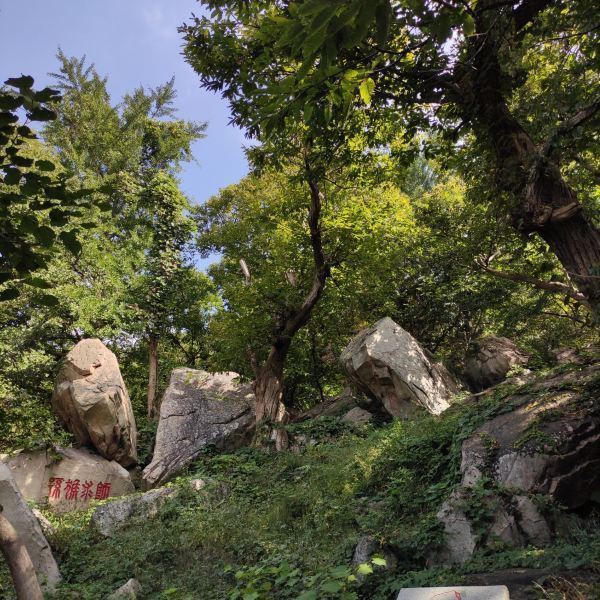 怪石园
