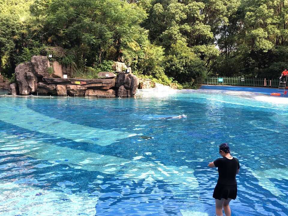 杭州定安路游泳馆