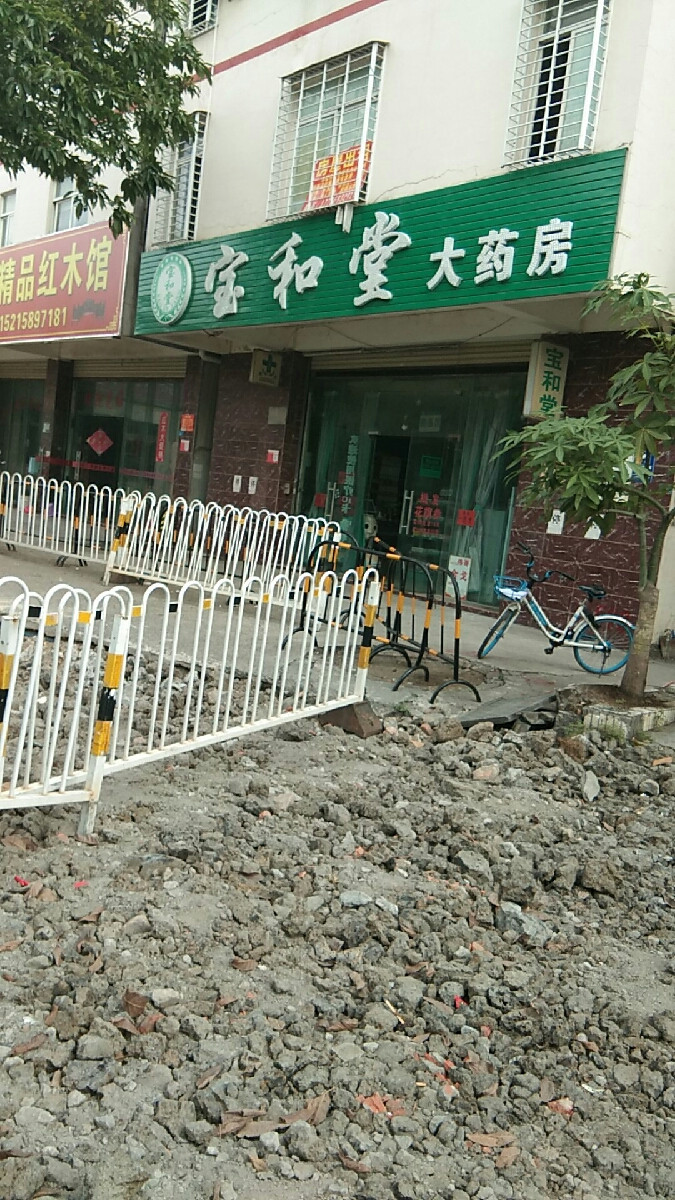            宝和堂大药房(青年路)