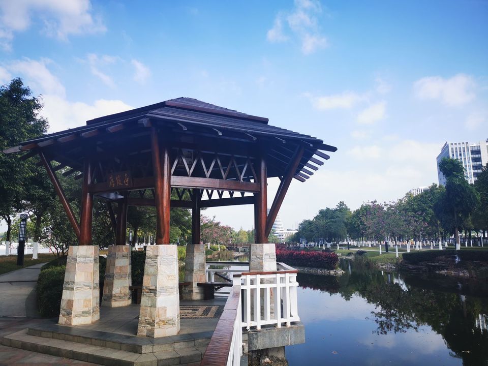 广州国际生物岛山地公园-水墨园