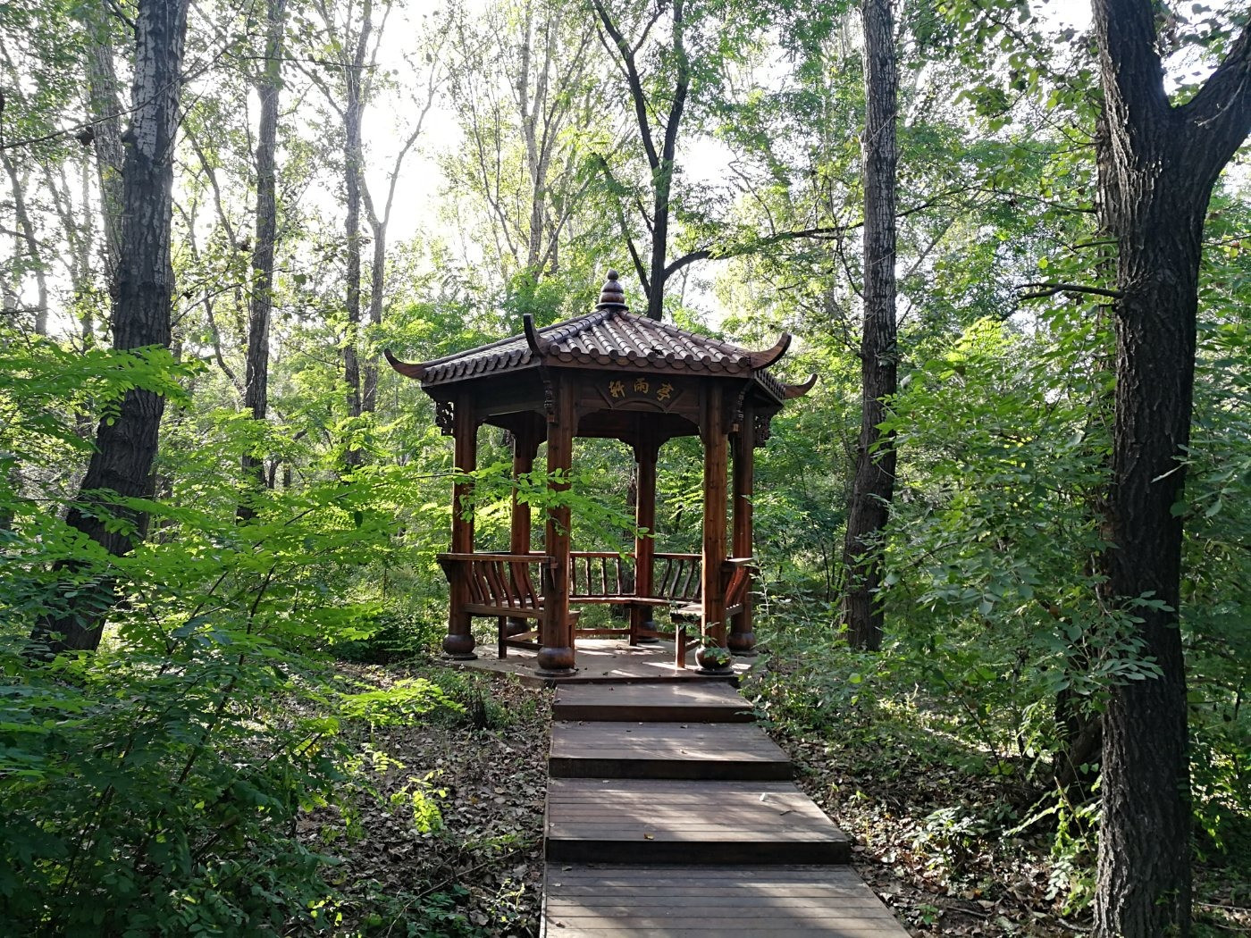 盘锦森林公园圆满贤劫寺