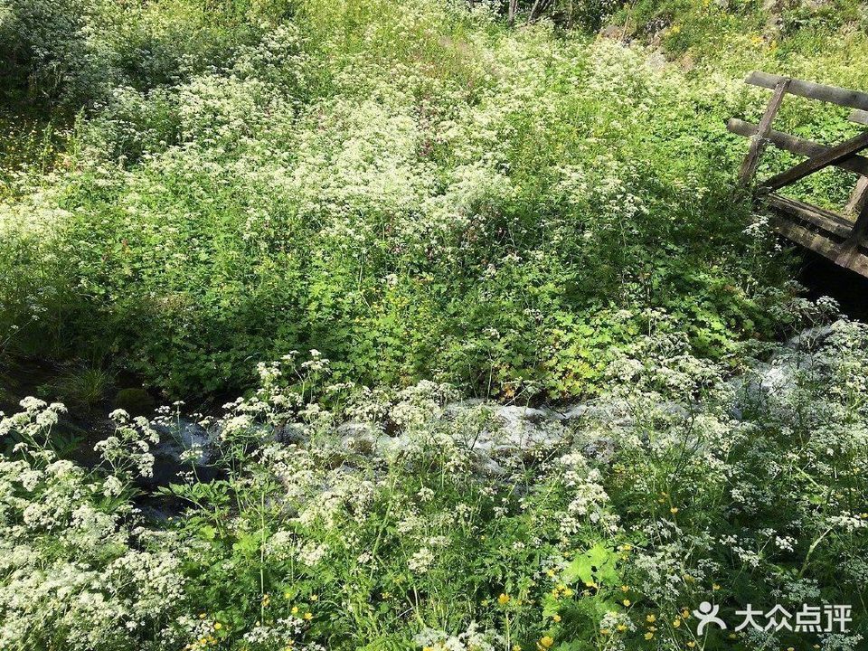 怎麼去,怎麼走,在哪,在哪裡,在哪兒):泰安市泰山區東湖路24號統一銀座