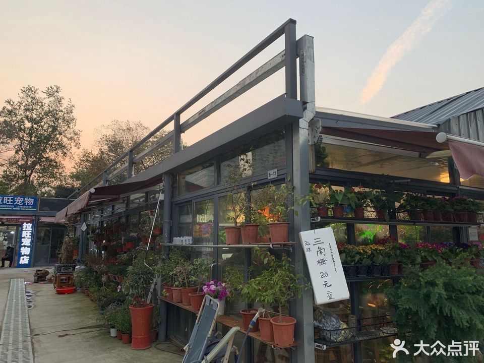 武汉市和平公园花鸟市场