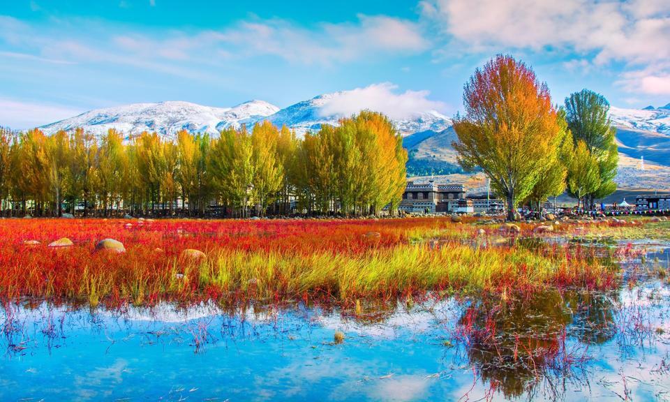 稻城亚丁红草地