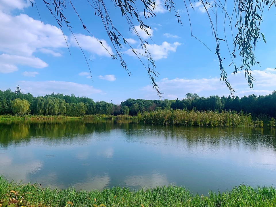 > 南湖荡湿地公园