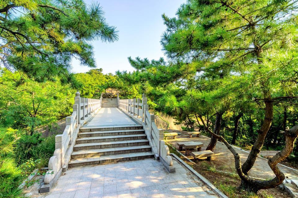 电话:地址(位置,怎么去,怎么走,在哪,在哪里,在哪儿):青岛市黄岛区