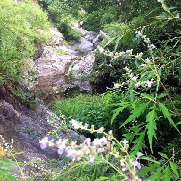 【雲岫谷遊獵自然風景區】雲岫谷遊獵自然風景區門票,雲岫谷遊獵自然