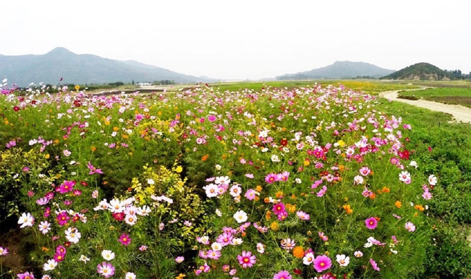 昌平苹果主题公园图片