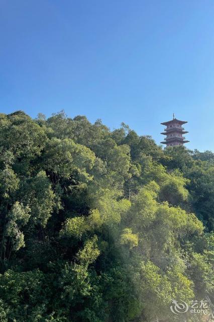 趣家國際社區電競民宿(寮步香市公園店)圖片