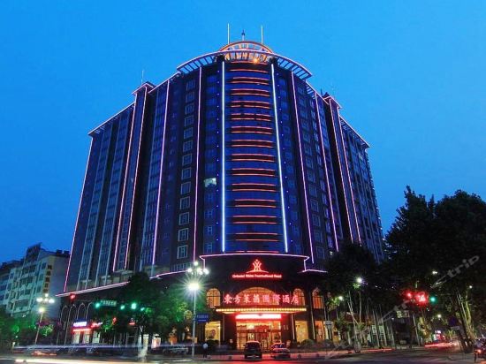                东方莱茵国际酒店