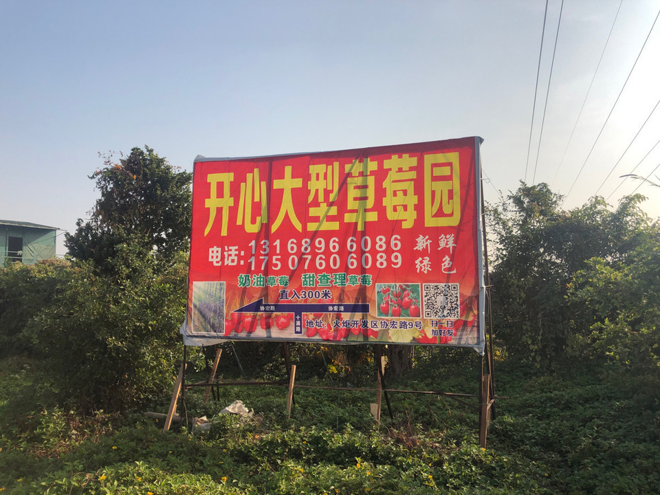 开心草莓园