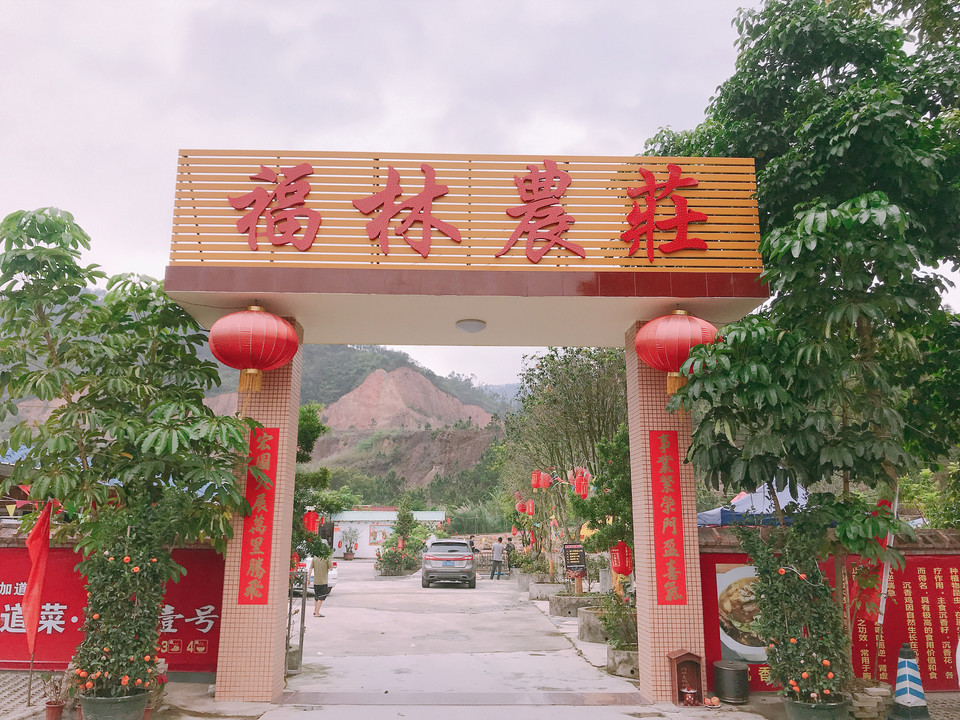 福林农庄图片