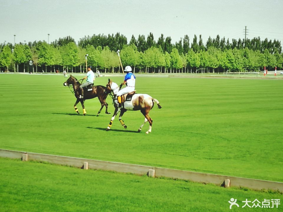             唐人马球马术俱乐部