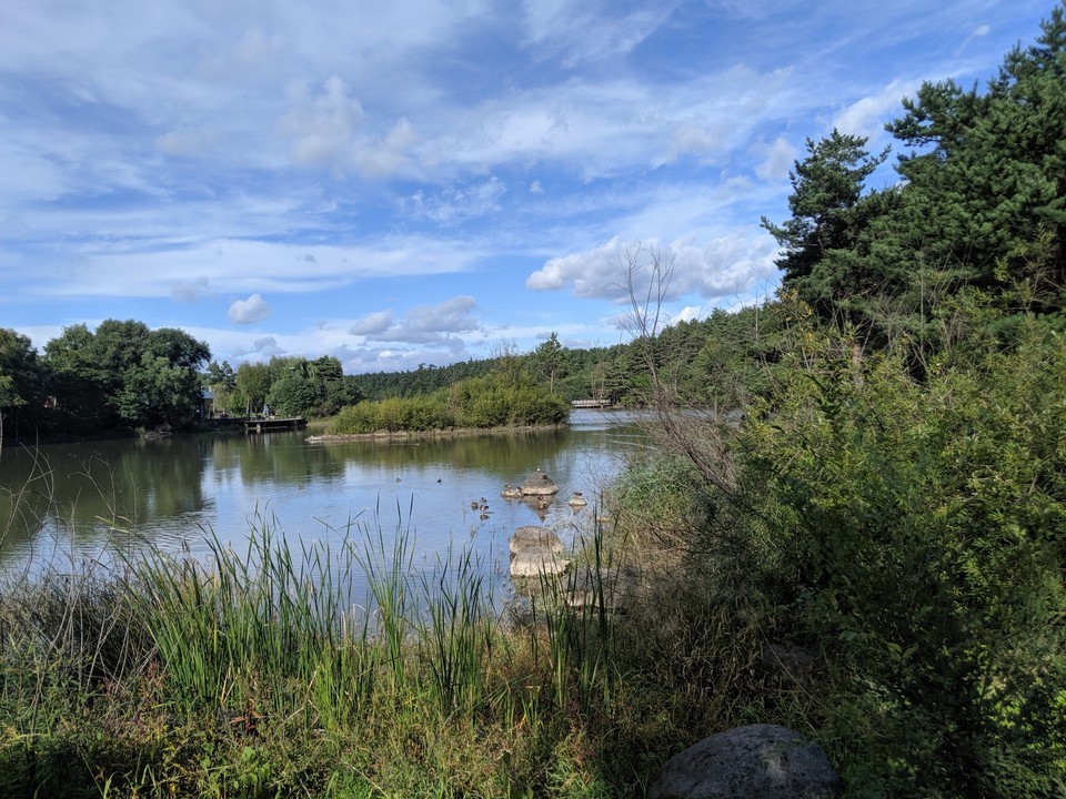 > 二道白河景点