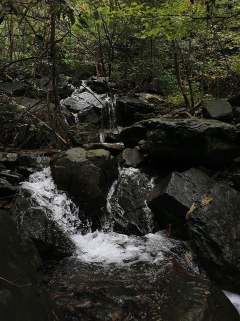 【柏枧山景区】柏枧山景区门票,柏枧山景区游玩攻略_360地图