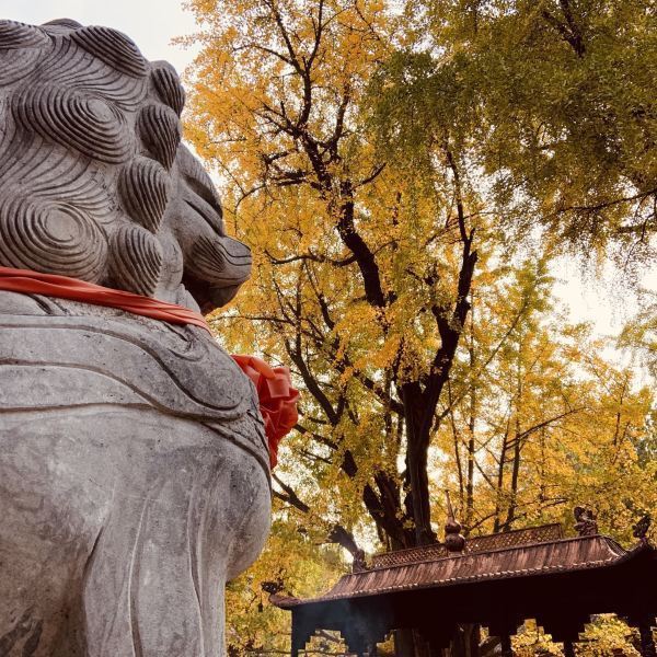 【報恩禪寺】報恩禪寺門票,報恩禪寺遊玩攻略_360地圖