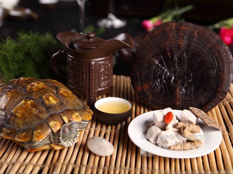 赤灵芝土茯苓炖龟汤图片