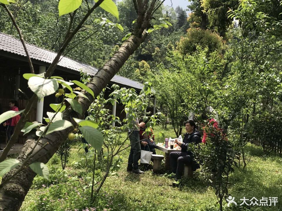 蒲江樱桃山