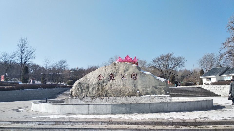                        金鱼公园