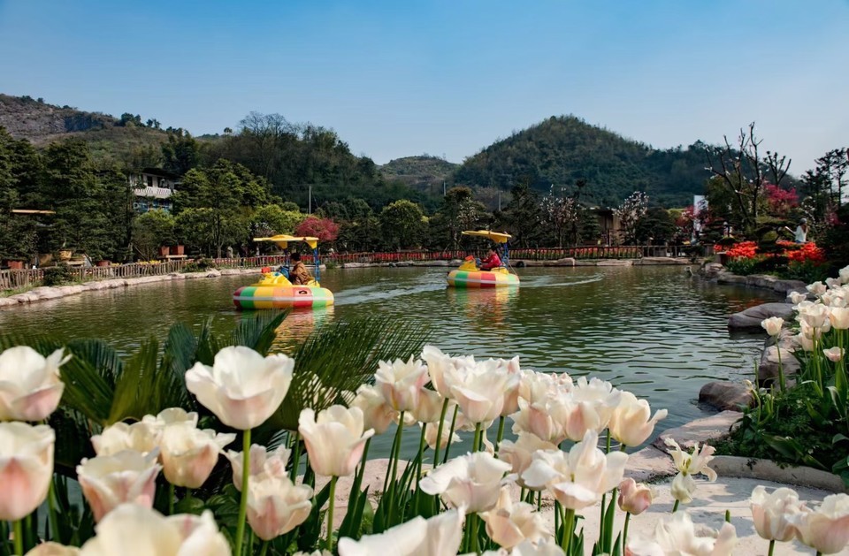 重庆市 休闲娱乐 景点公园 > 国际慢城太寺垭森林公园